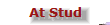 finalnwmorganswebsite2013002007.gif