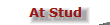 finalnwmorganswebsite2013005008.gif